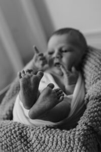 emz03467 2 emz03467 2