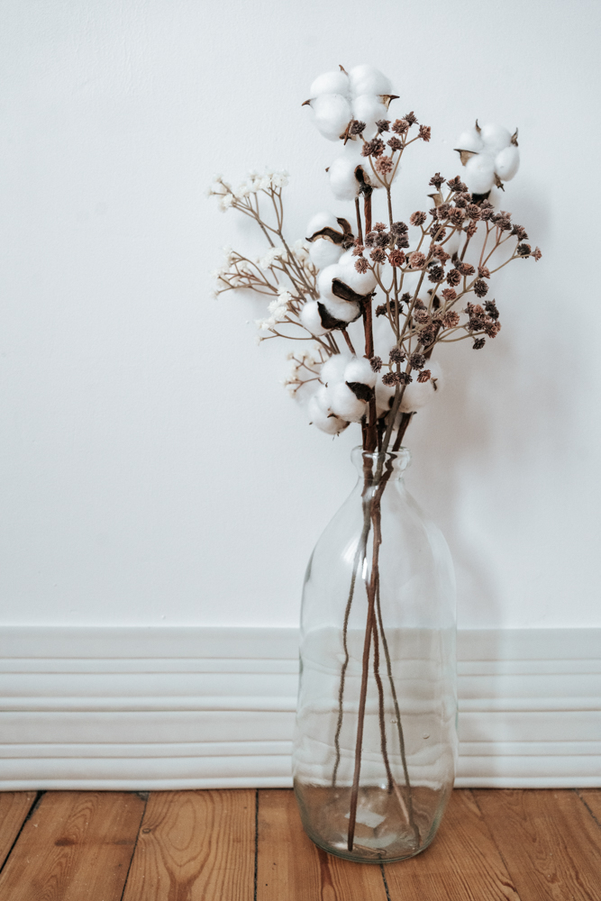 studio naturel valenciennes